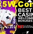 Segurança e performance na plataforma 101 Bet